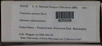 Image Associated With the Occurence